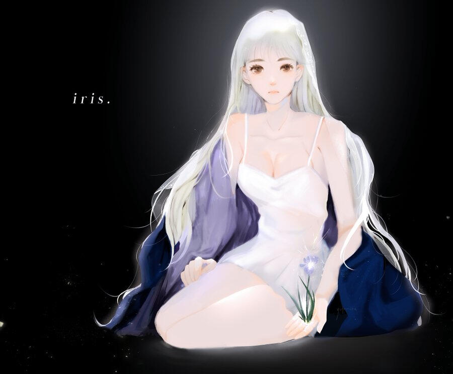 iris iris
