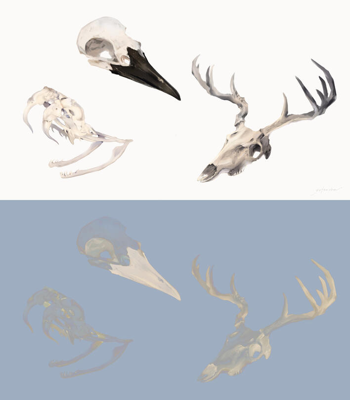 Skulls Skulls