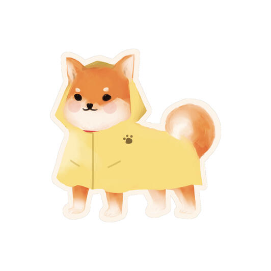 Rainy Shiba Inu